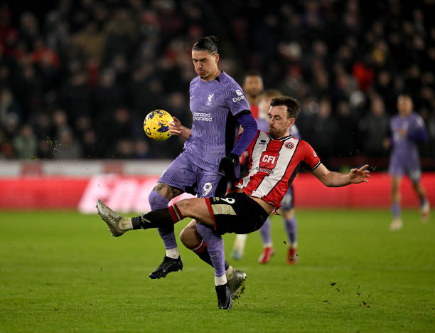 国网球塑造 国网球塑造